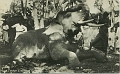 A P Stringfellow Forces Postcard 1